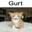 gurt