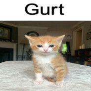 gurt