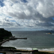 翻斗花园干饭大王