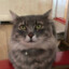 Moki4