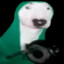 .pandog