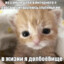 бизнесбанан