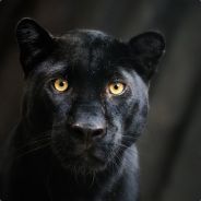 Pantharian - steam id 76561197971151033