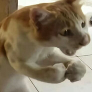 送外卖的屌男的