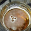 Prime Beer