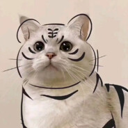 嘿嘿吃火锅不吃油碗