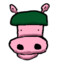 Soldier pig