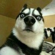 没有人能在我手上饿死