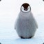 HD Penguin