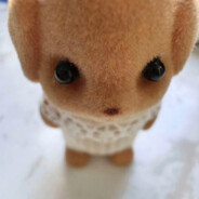 超级无敌大帅比