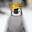 TalonKing