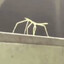 StickBug