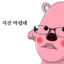 HoDu