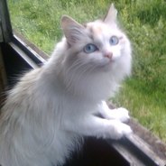 культура курения