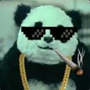 I Am Platypus [Tibi] avatar