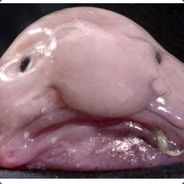 MackaPacka