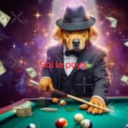 +54 9 11 5384-4744