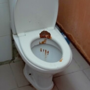 дима насвай avatar