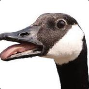 GoosyGoose