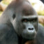 Phanberto