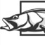 SNOOK