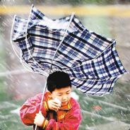 中国人不打中国人