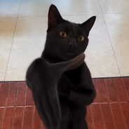Sealo