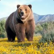 GrizzJ7 - steam id 76561197970961611