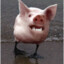 BLACK PIG MANGAL