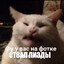 капитан кот