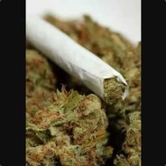 ❱ 🌿ωɛɛɗ🌿 ❰