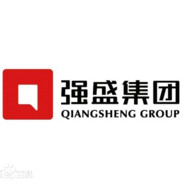 强盛集团-高启强