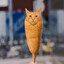 Corndog cat