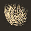tumbleweed.