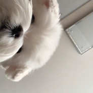 给你个大笔兜子