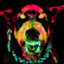 will_shok