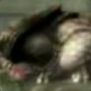 nuggetS - steam id 76561197962114434