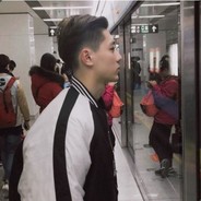 一窝欢乐的草泥马