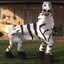 Zebra is back!