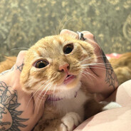 reaper_死神 - steam id 76561198188718093