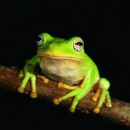 年轻人没有武德