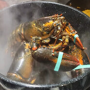 GabrielTheLobster