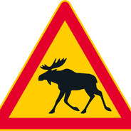 Risto Vähäkangas (AhlaMs)