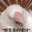 Xiao Ru