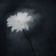 я нормальный's avatar