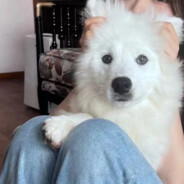 香蕉你个水蜜桃