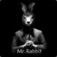 Mr. Rabbit