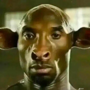 科比(肘进科穴)