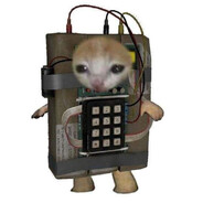 ⎝⎝✧𝒁𝗈ȴd✧