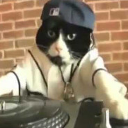 DJ CAT